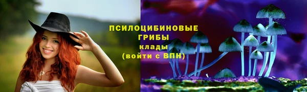 a pvp Армянск