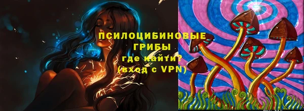 дурь Аркадак