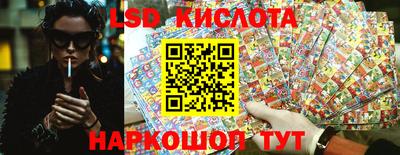 ПСИЛОЦИБИНОВЫЕ ГРИБЫ Заводоуковск