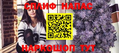 мдпв Жуковский