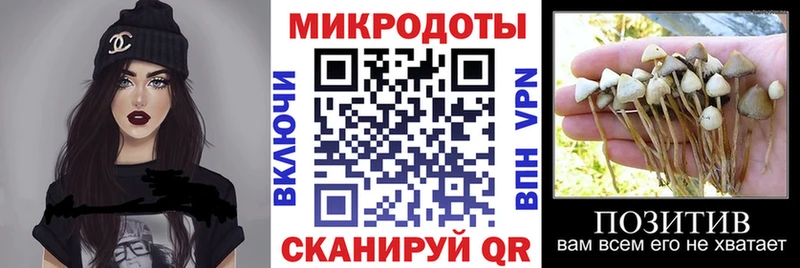 Галлюциногенные грибы мицелий  цена   Сыктывкар 