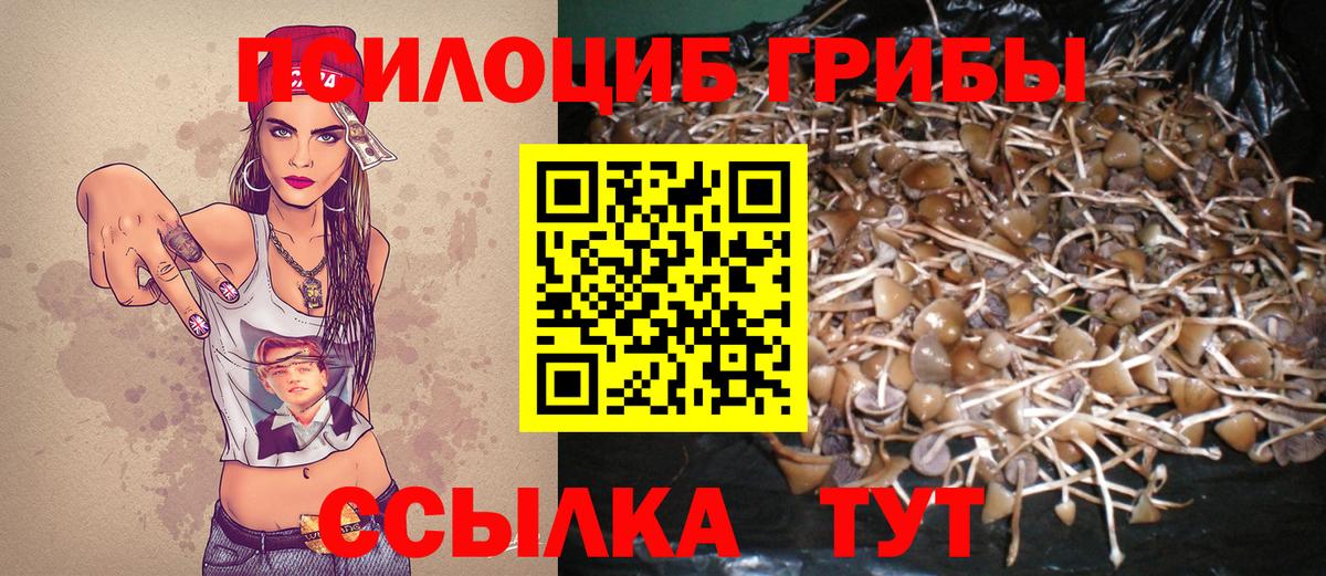 Галлюциногенные грибы Cubensis  Вход с VPN  Сыктывкар 