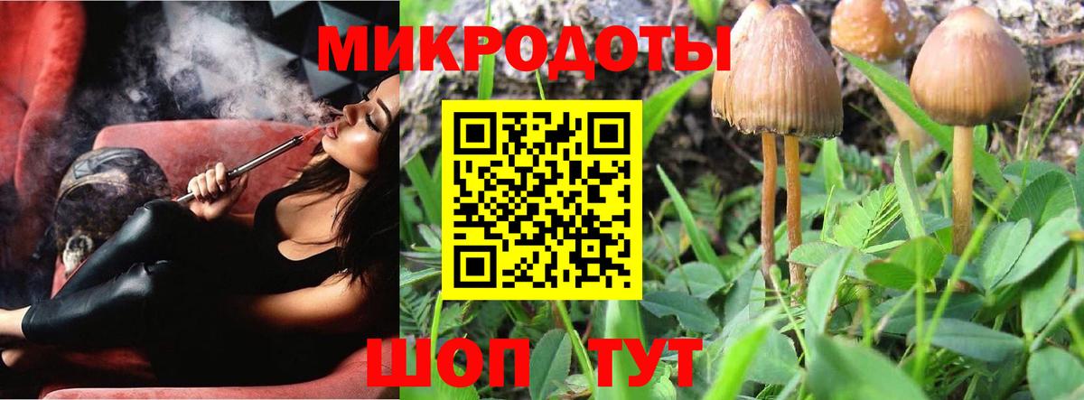 Галлюциногенные грибы Magic Shrooms Сыктывкар